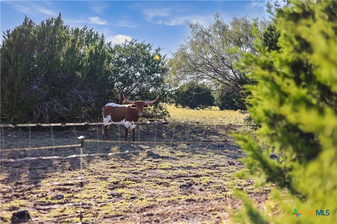 10.04 acres in Burnet County - photo 35