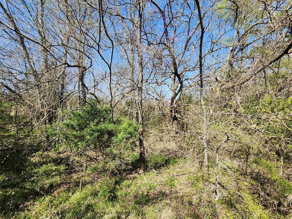 1.66 acres in Hunt County - photo 27
