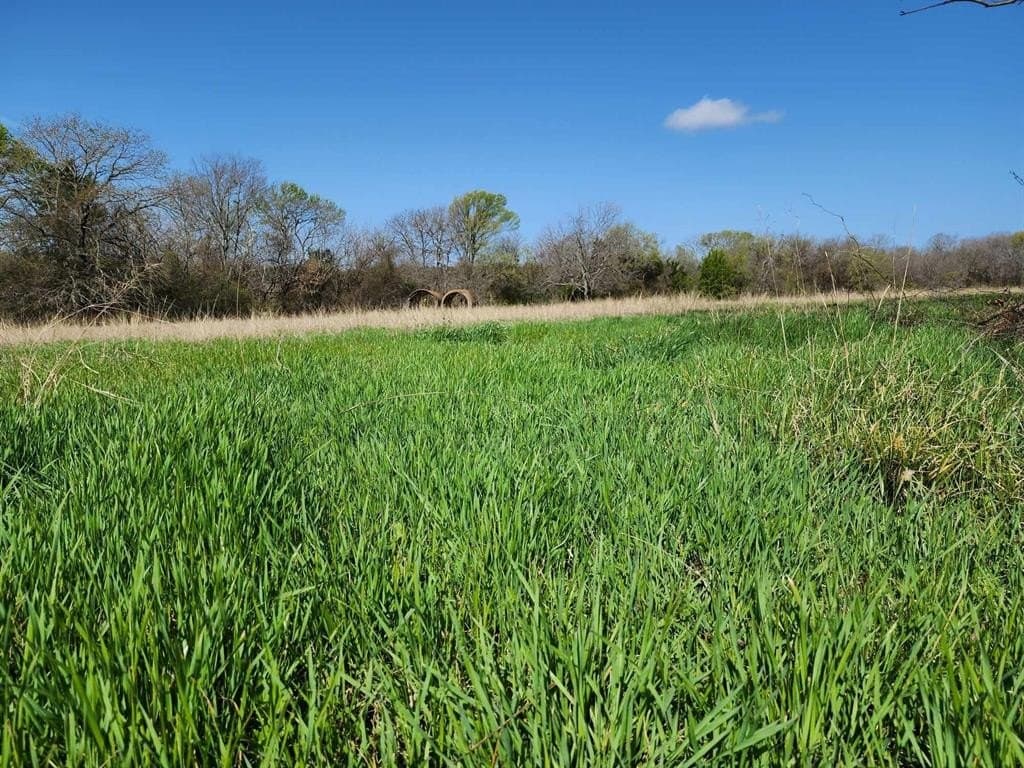 1.66 acres in Hunt County - photo 18
