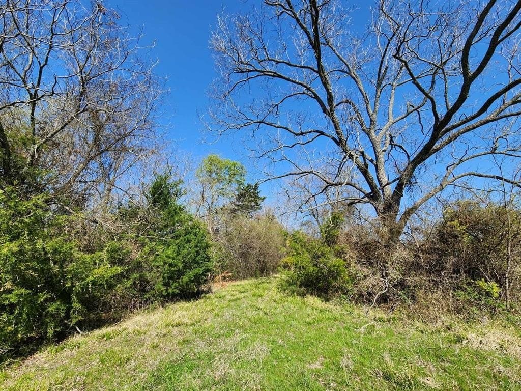 1.66 acres in Hunt County - photo 28