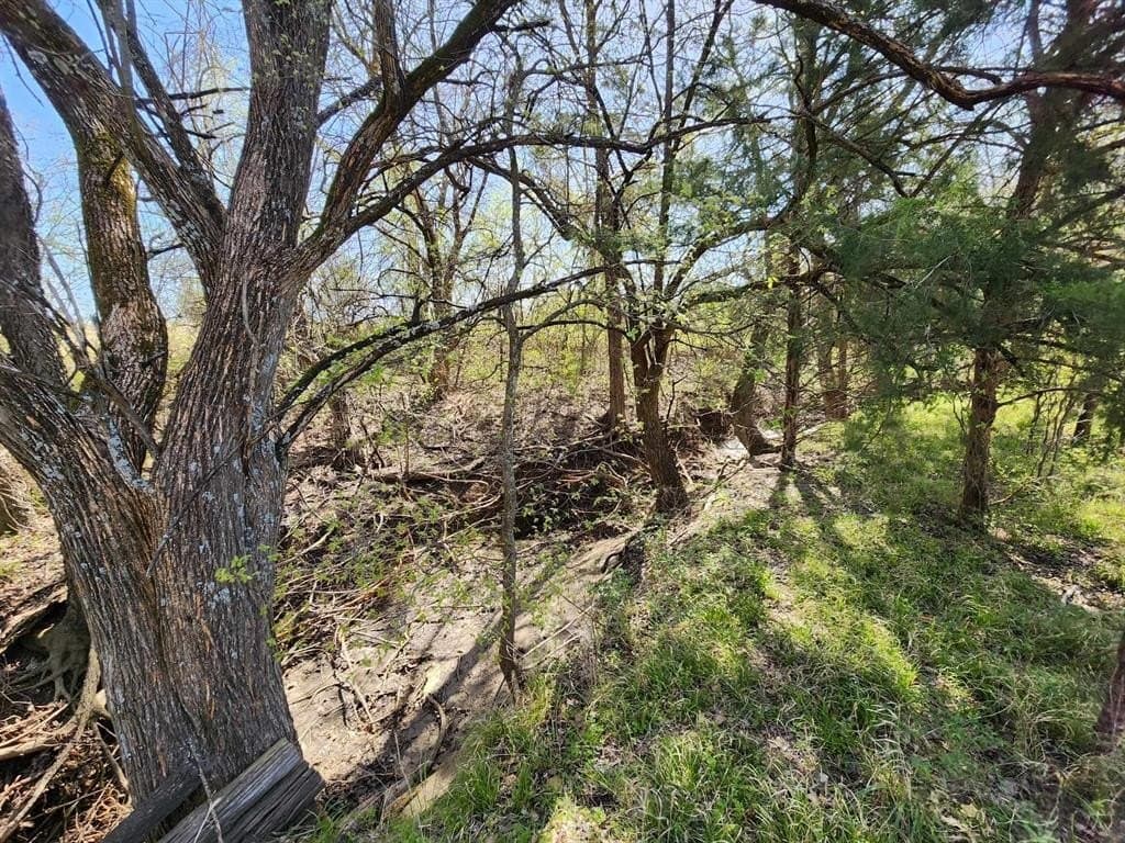 1.66 acres in Hunt County - photo 26