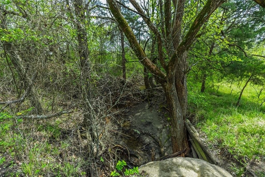 1.66 acres in Hunt County - photo 16