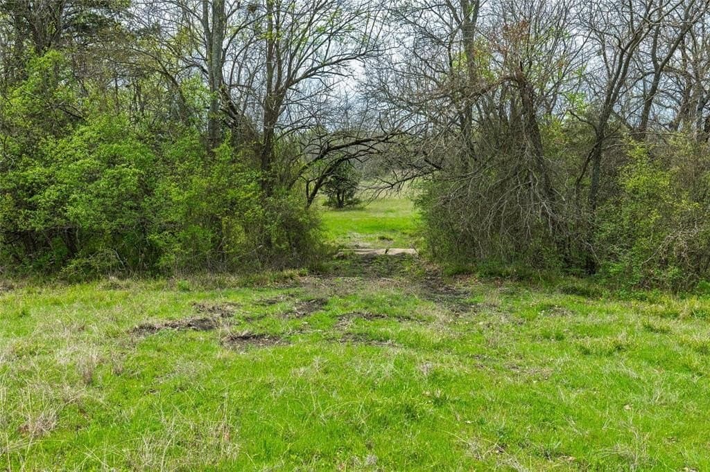1.66 acres in Hunt County - photo 17
