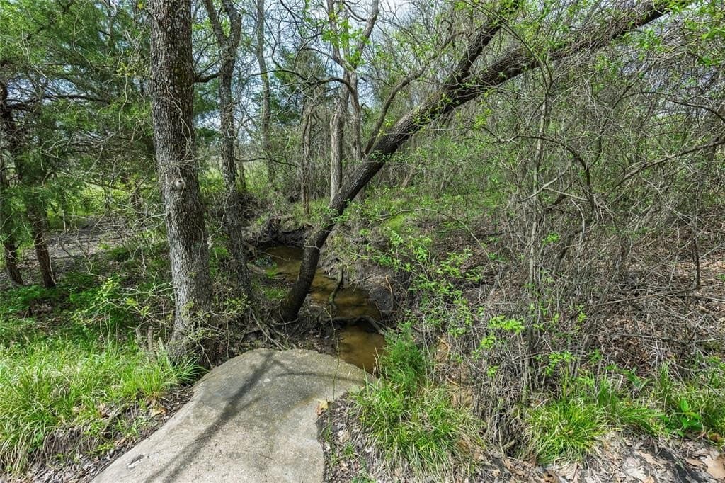 1.66 acres in Hunt County - photo 15