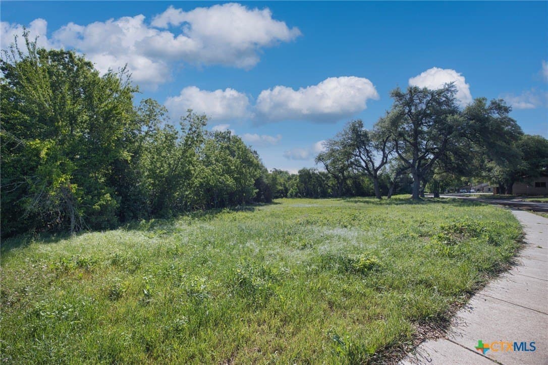 0.52 acres in Williamson County - photo 2