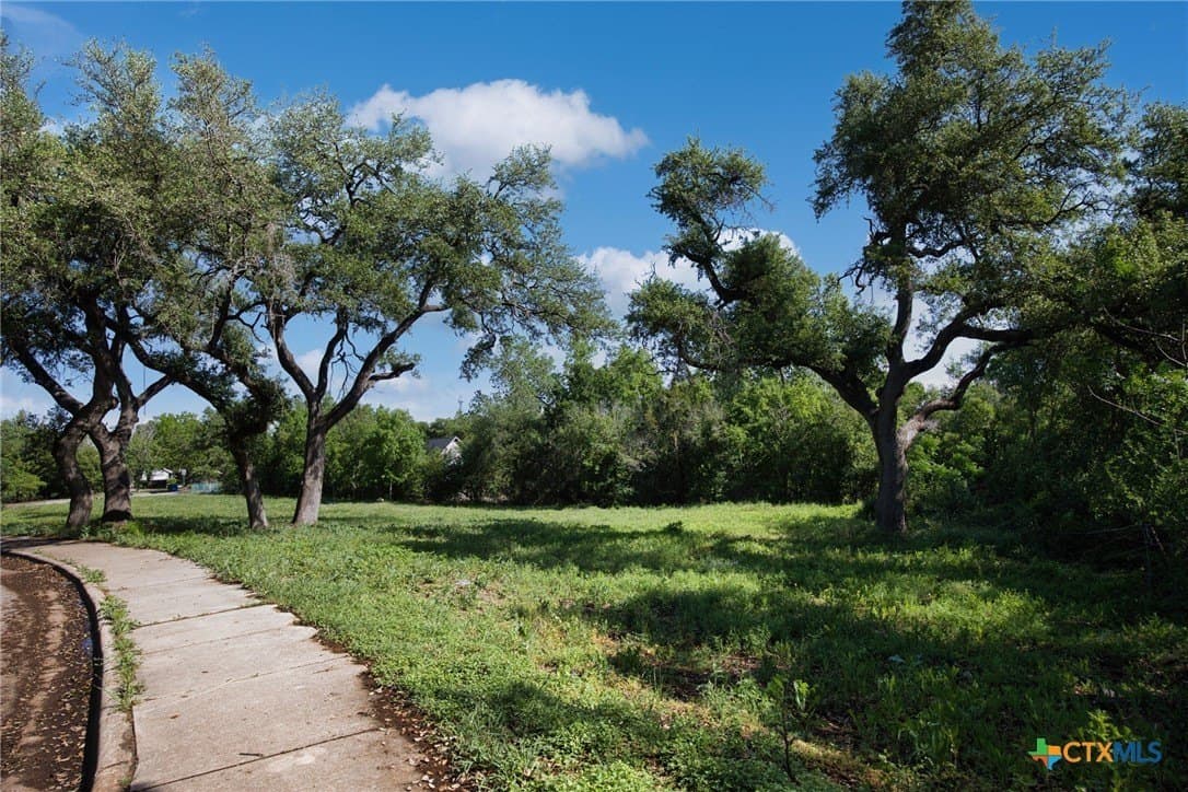 0.52 acres in Williamson County - photo 5