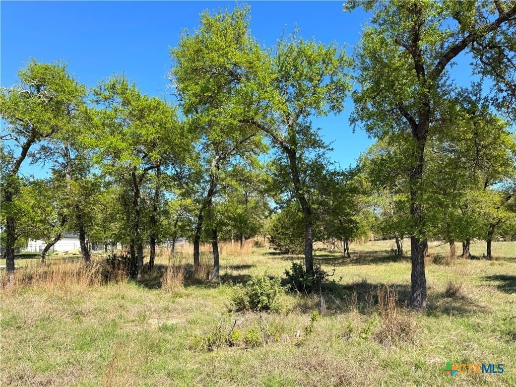 0.53 acres in Comal County - photo 2