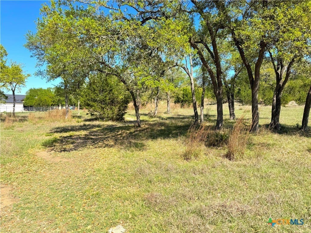 0.53 acres in Comal County - photo 9