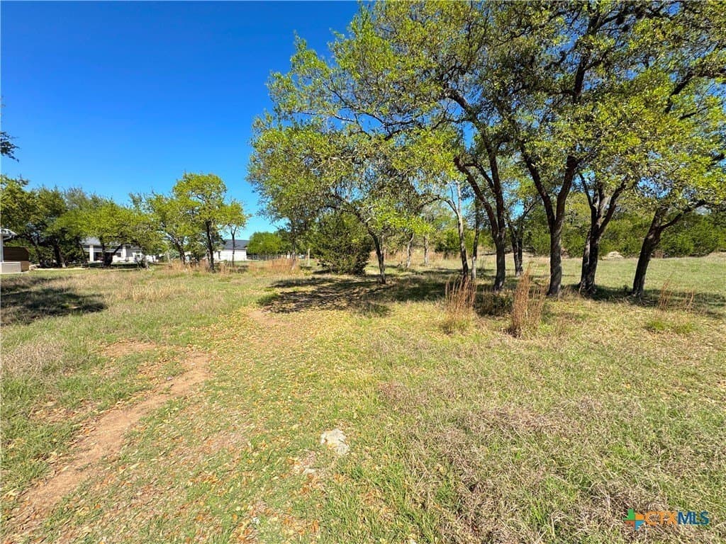 0.53 acres in Comal County - photo 16