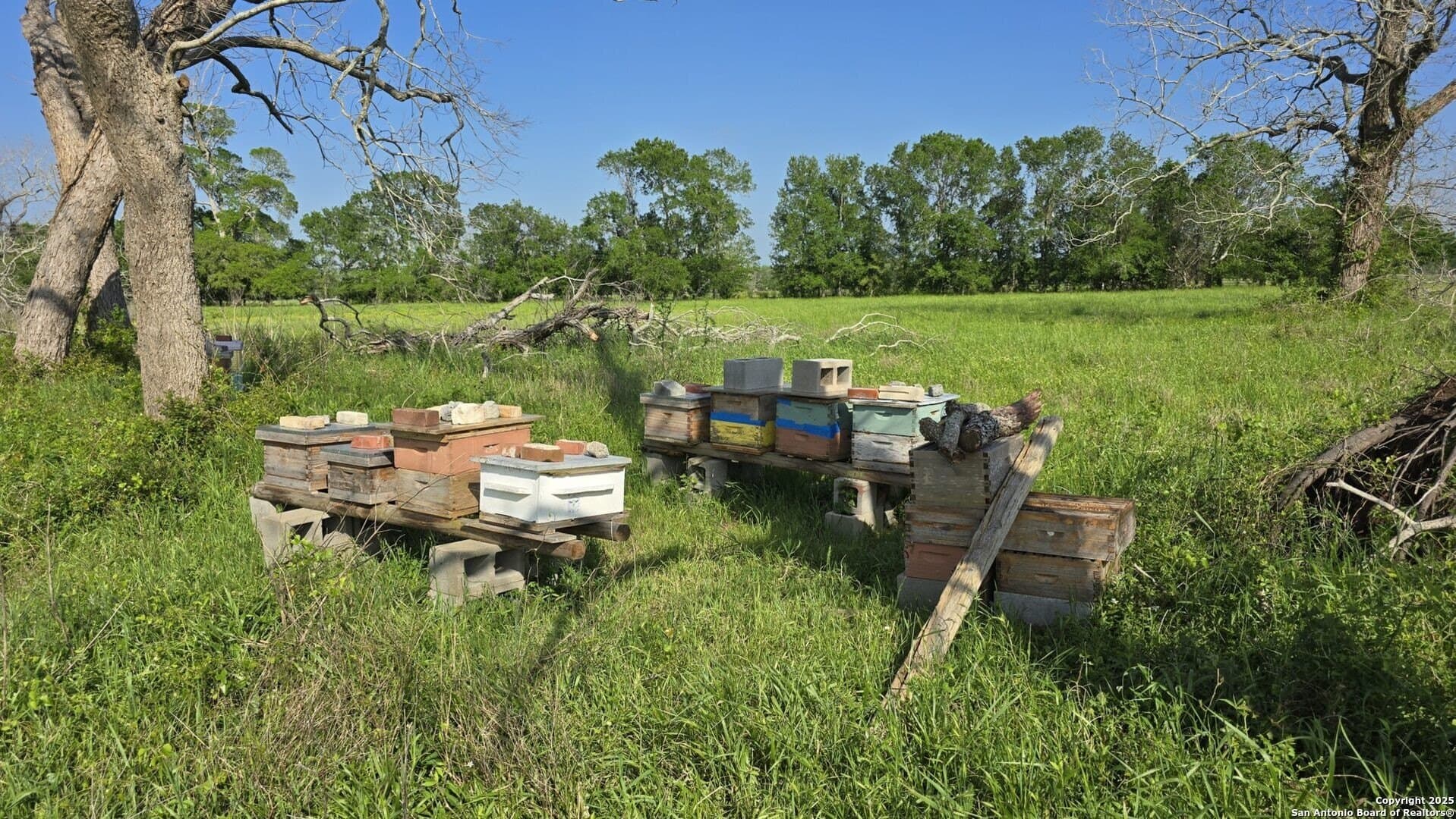 22 acres in Wharton County - photo 16