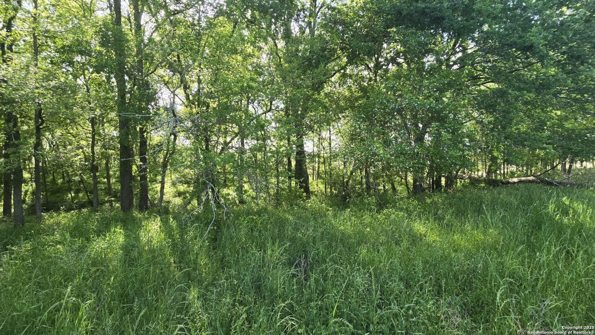 22 acres in Wharton County - photo 18