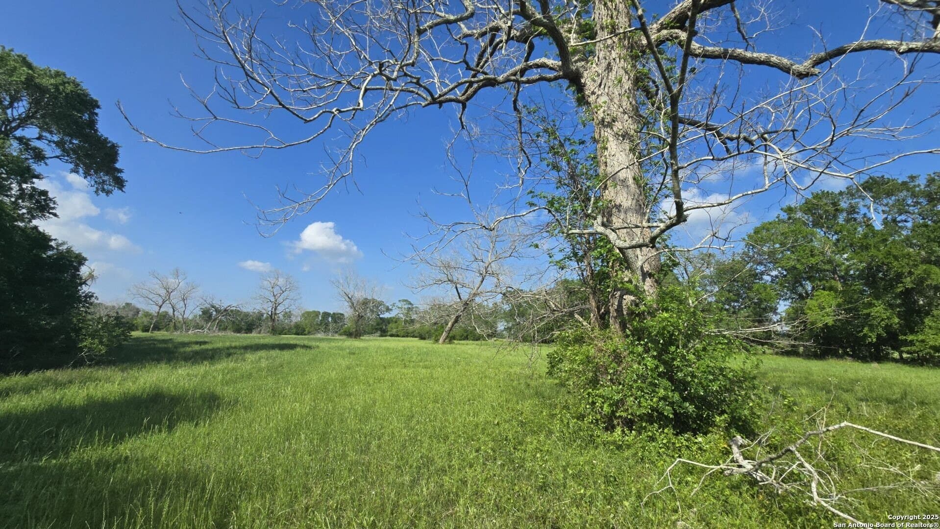 22 acres in Wharton County - photo 19