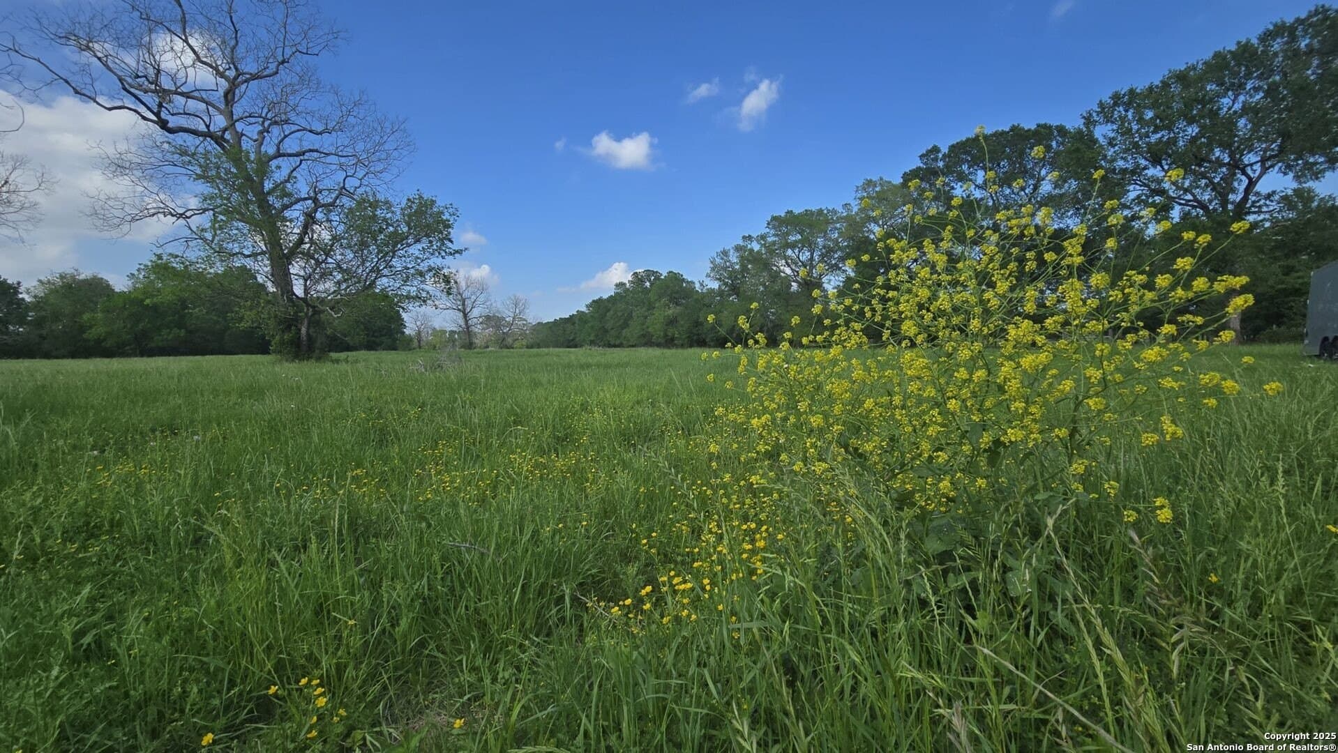 22 acres in Wharton County - photo 4