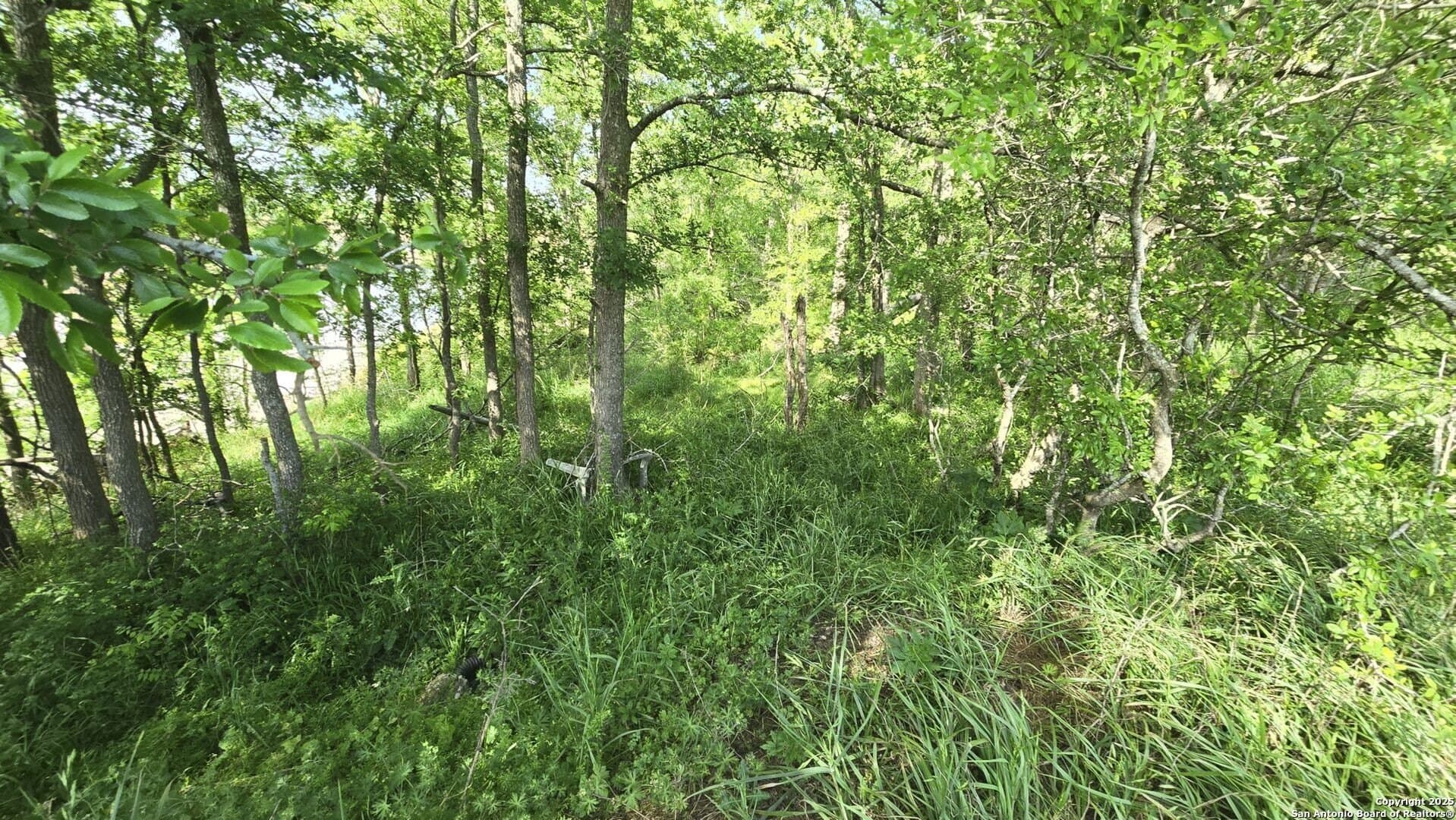 22 acres in Wharton County - photo 22