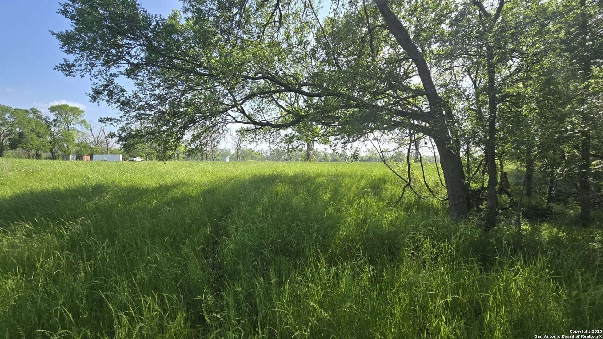 22 acres in Wharton County - photo 8