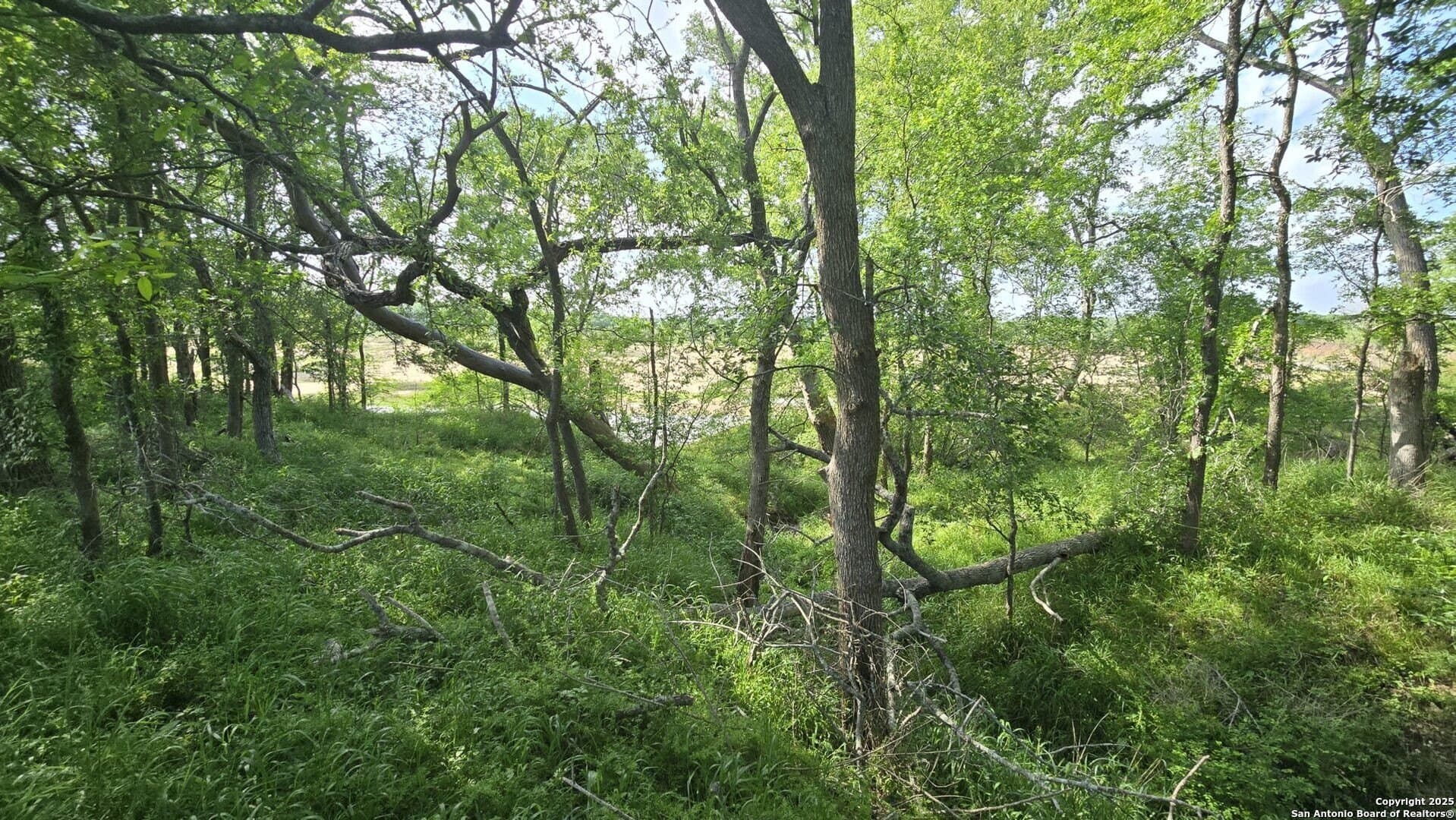 22 acres in Wharton County - photo 20