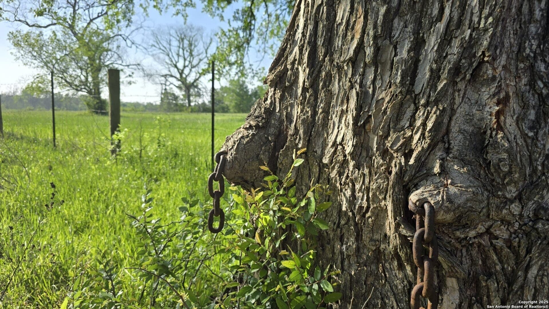 22 acres in Wharton County - photo 6