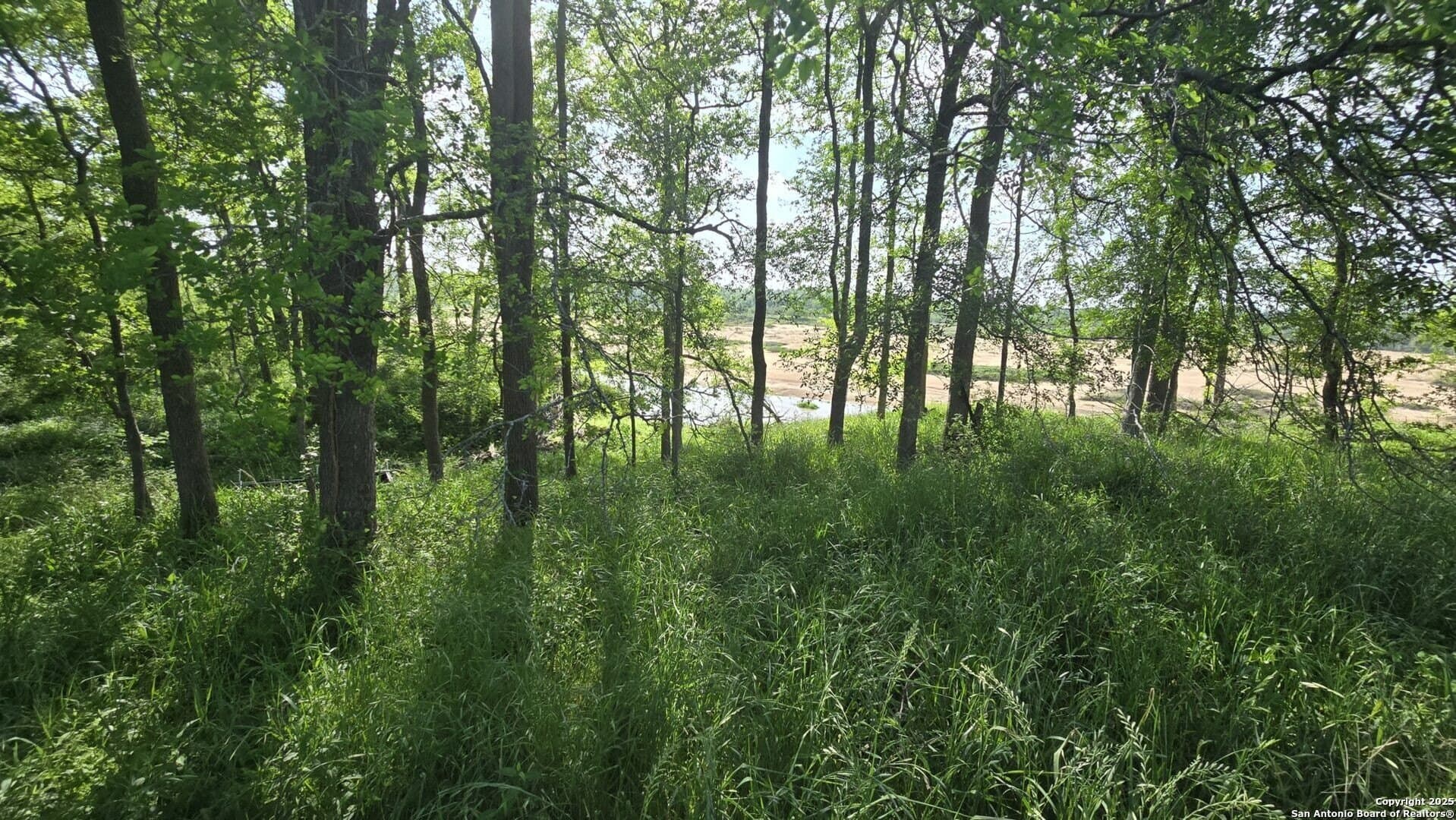 22 acres in Wharton County - photo 10