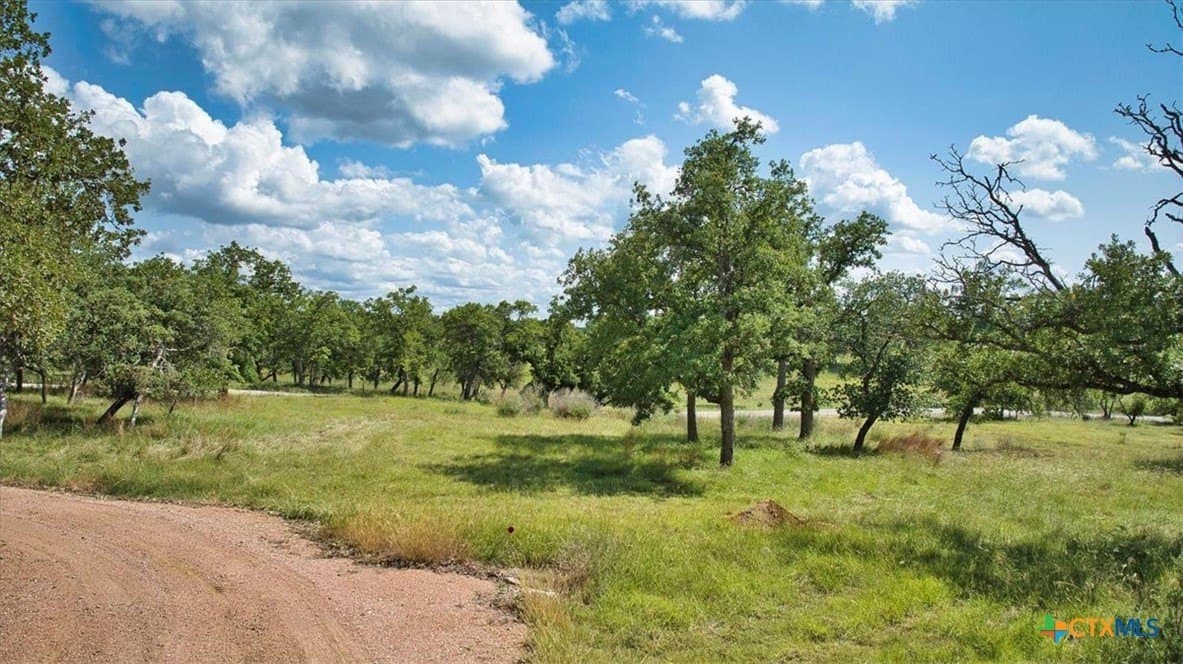 33.62 acres in Blanco County - photo 5