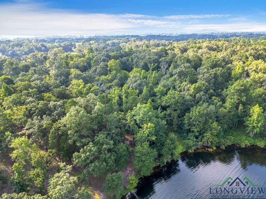 0.8 acres in Texas County - photo 2