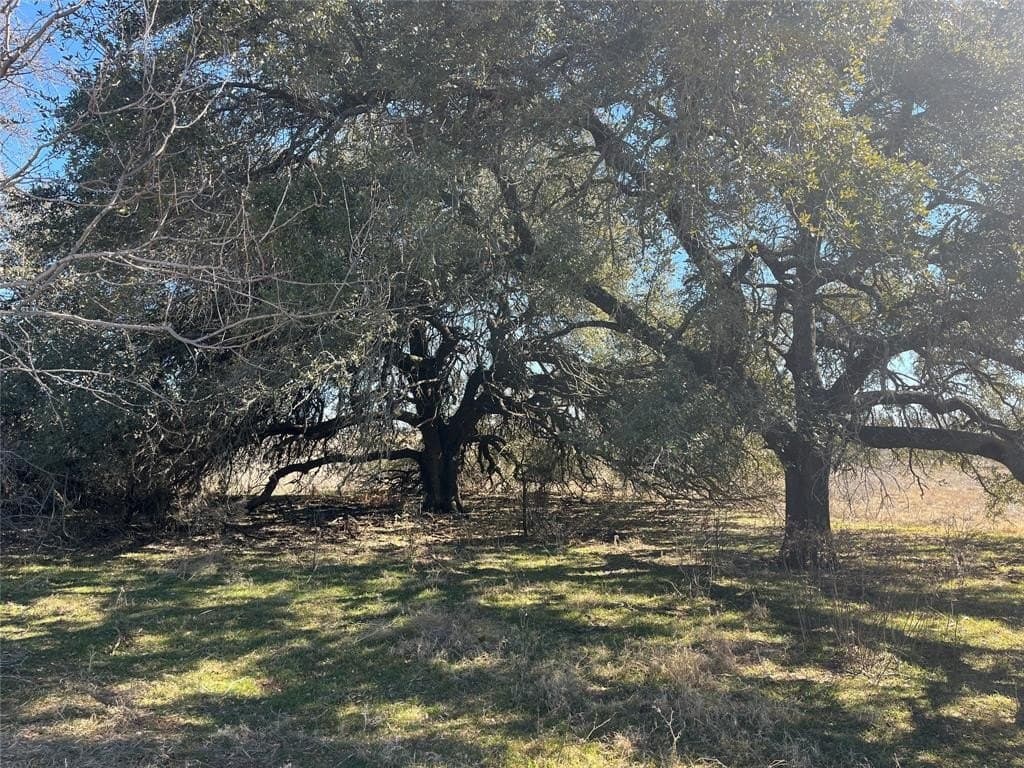 66 acres in Erath County - photo 6