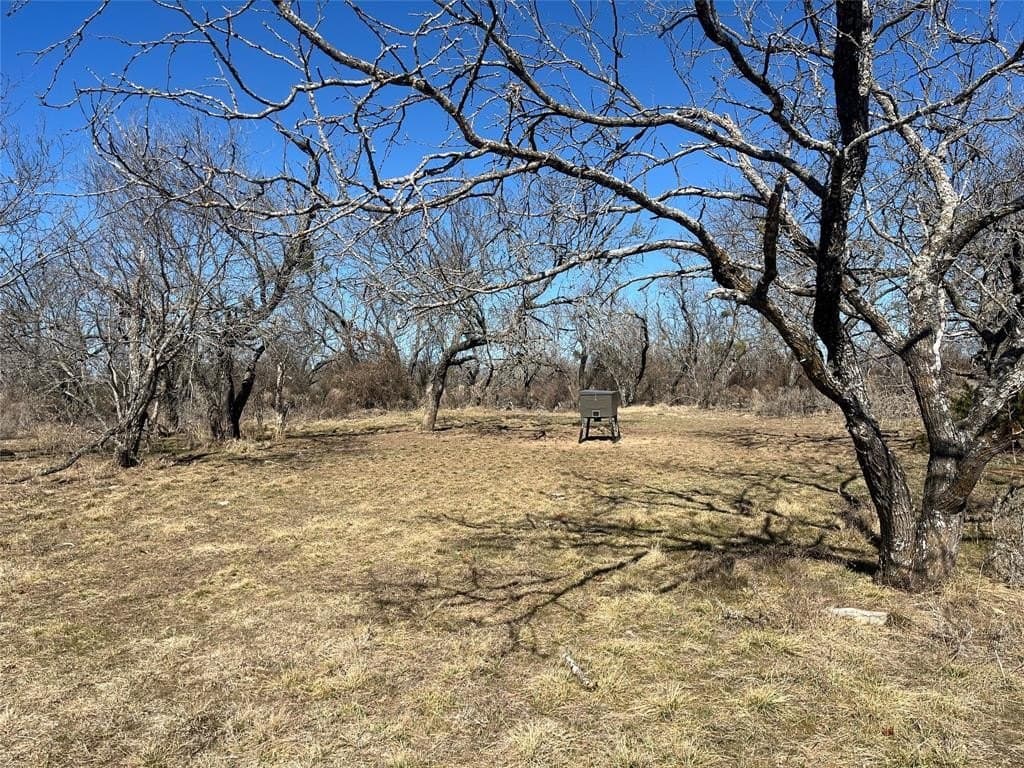 66 acres in Erath County - photo 7