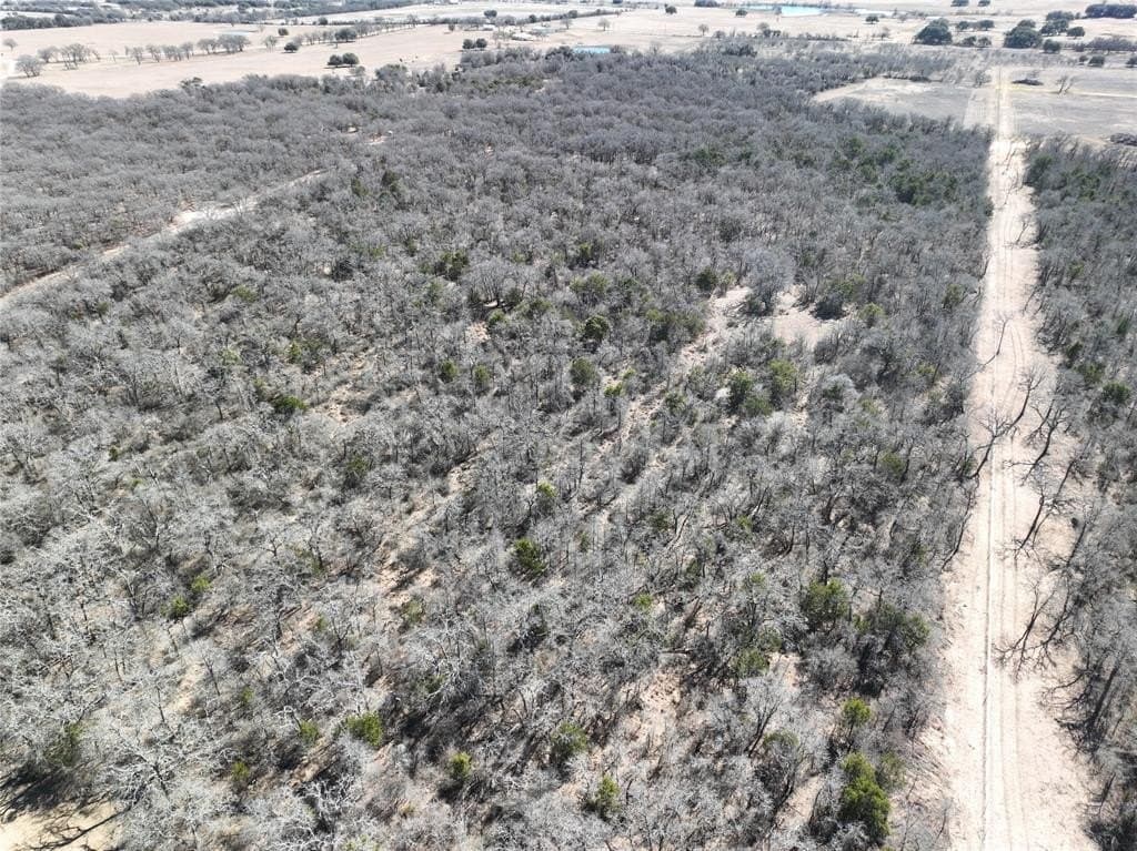66 acres in Erath County - photo 13