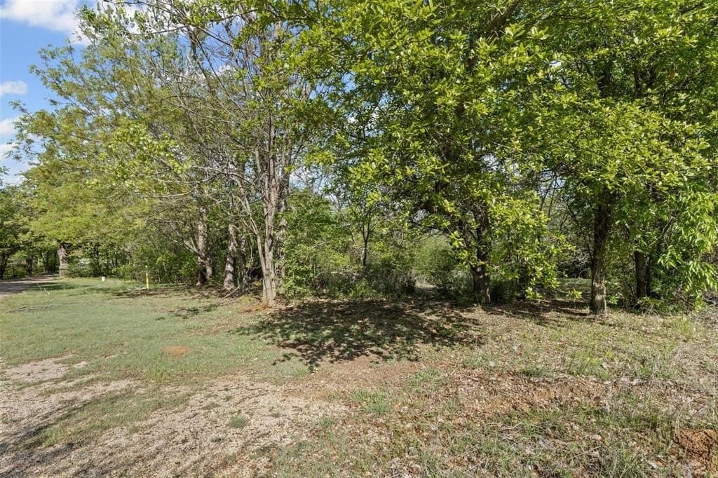 0.32 acres in Johnson County - photo 13