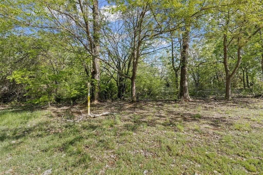 0.32 acres in Johnson County - photo 12