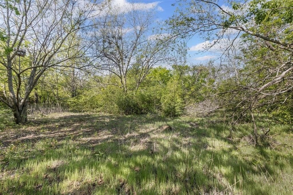 0.32 acres in Johnson County - photo 15