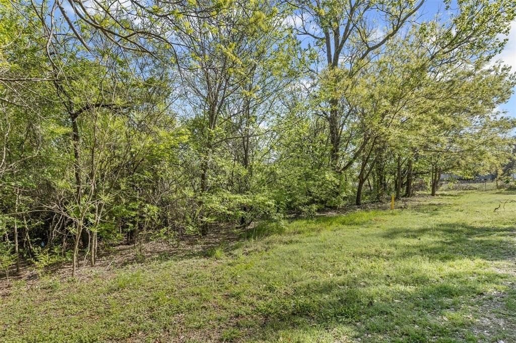 0.32 acres in Johnson County - photo 11