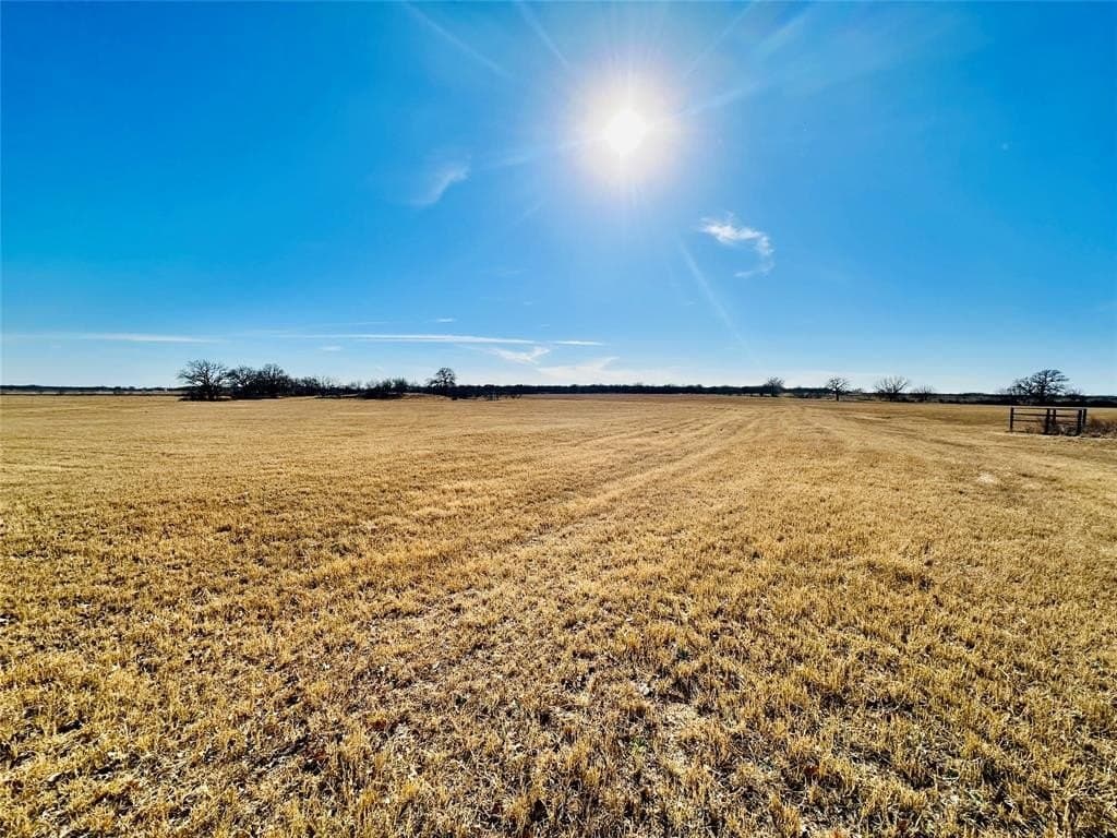 35 acres in Callahan County - photo 24