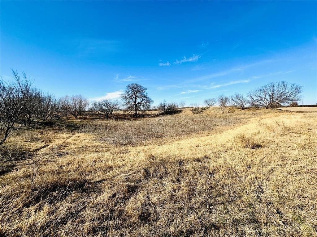35 acres in Callahan County - photo 15