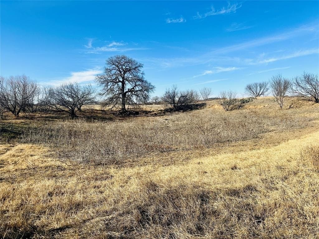 35 acres in Callahan County - photo 21