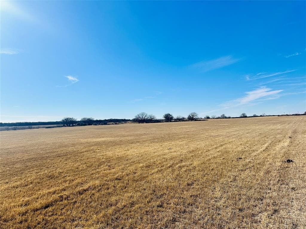 35 acres in Callahan County - photo 8