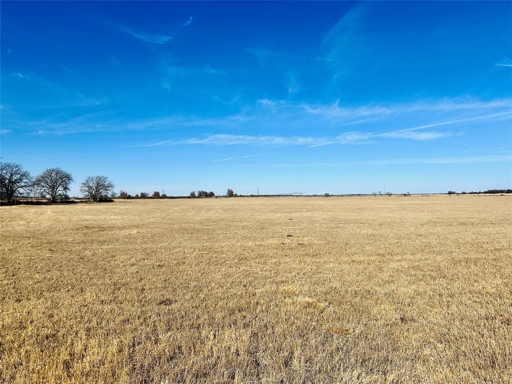 35 acres in Callahan County - photo 3