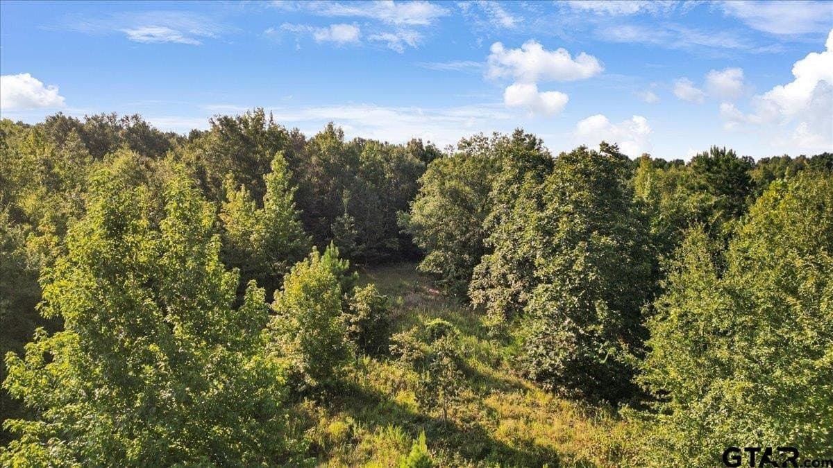 12.7 acres in Smith County - photo 10