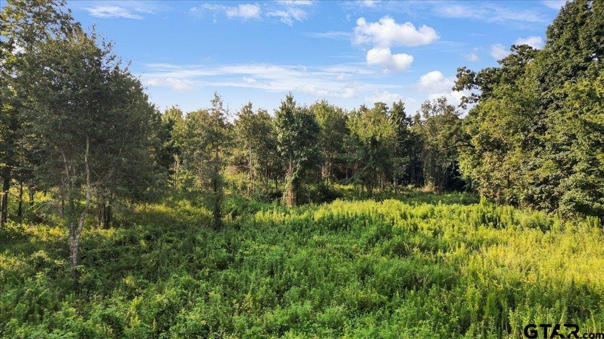 12.7 acres in Smith County - photo 13
