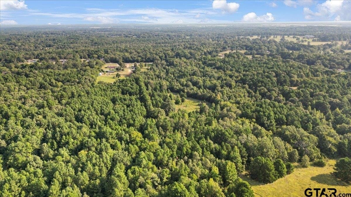 12.7 acres in Smith County - photo 4