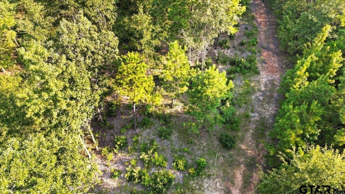 12.7 acres in Smith County - photo 11