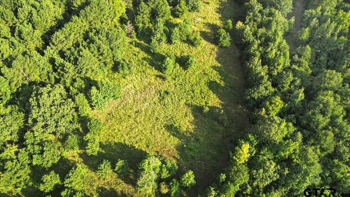 12.7 acres in Smith County - photo 8