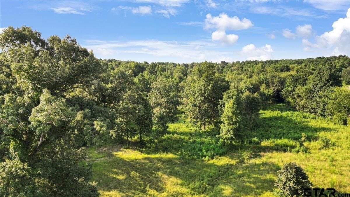 12.7 acres in Smith County - photo 12