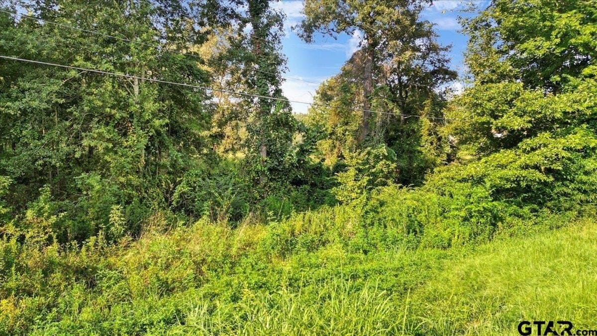 12.7 acres in Smith County - photo 14