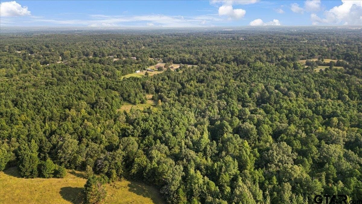 12.7 acres in Smith County - photo 6