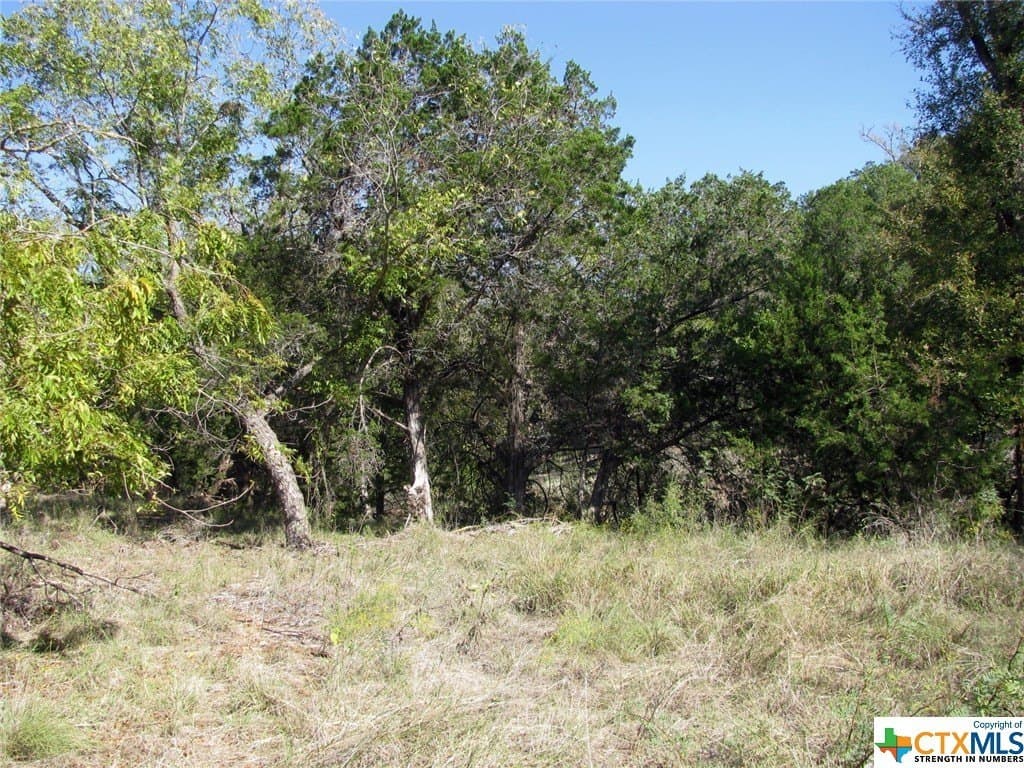 10.18 acres in Coryell County - photo 23