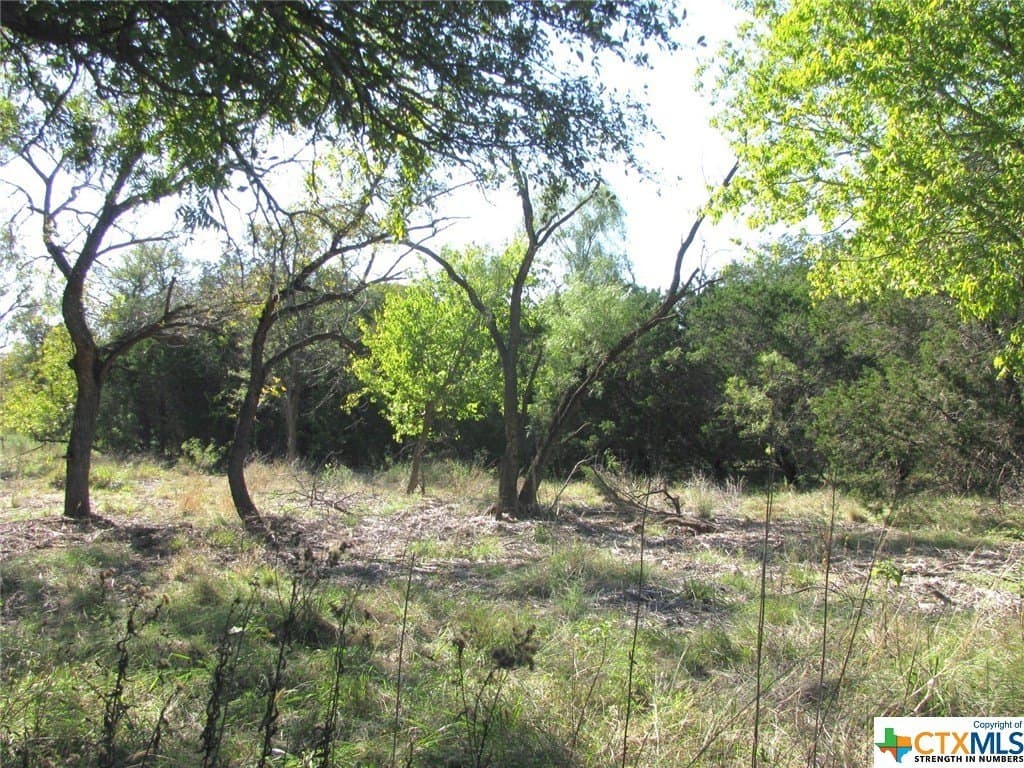 10.18 acres in Coryell County - photo 29