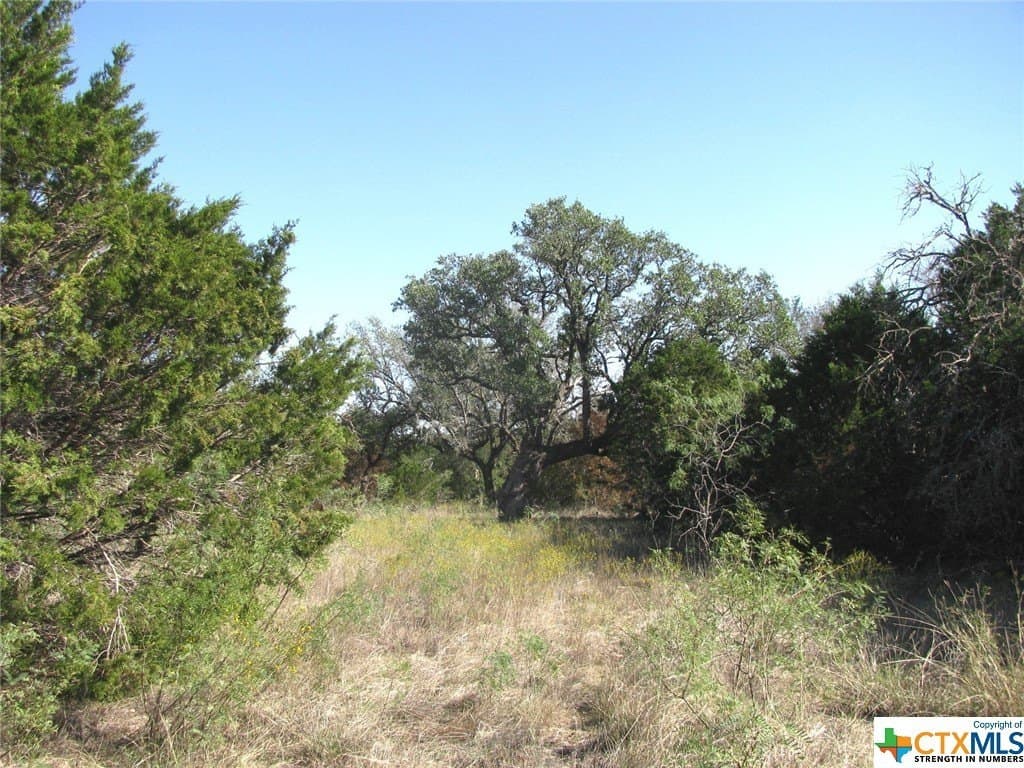 10.18 acres in Coryell County - photo 36