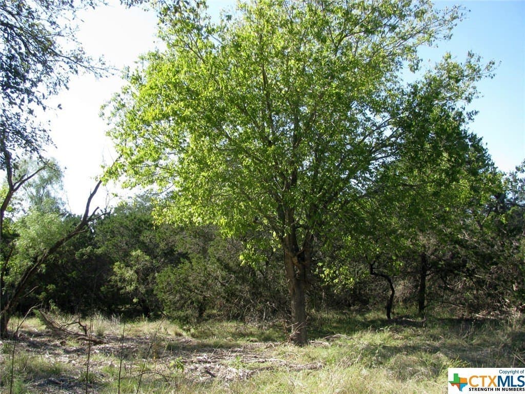 10.18 acres in Coryell County - photo 2
