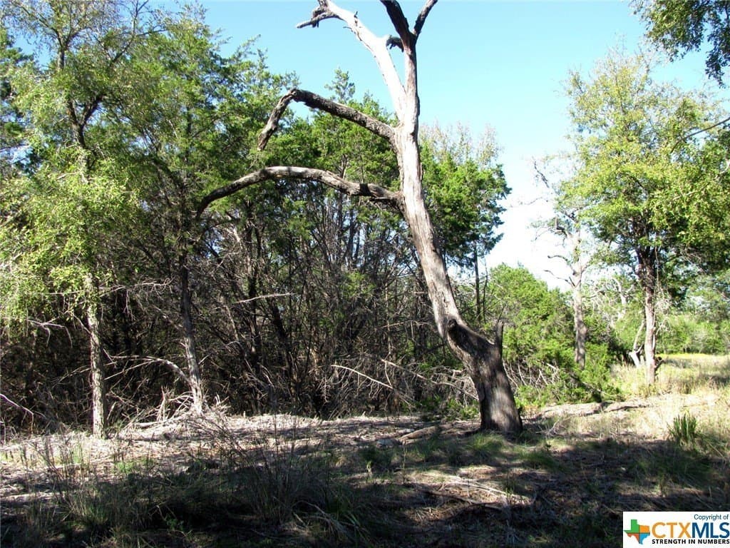 10.18 acres in Coryell County - photo 31
