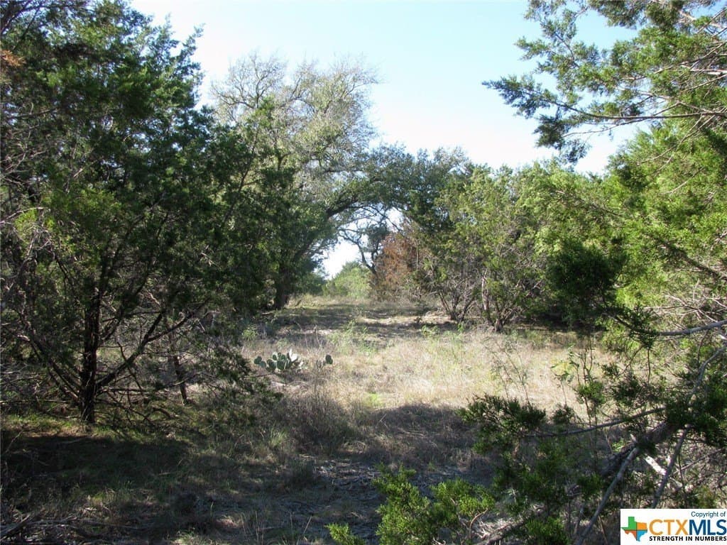 10.18 acres in Coryell County - photo 34
